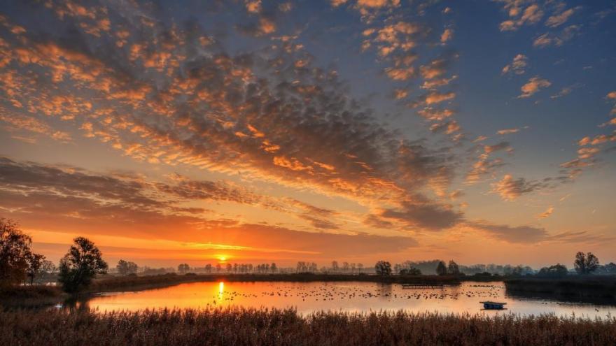 How Do Regional Differences Affect Us