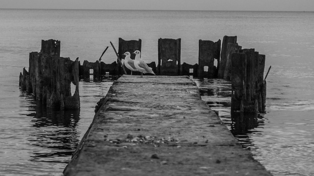 Different Types of Dock Levelers to Choose From