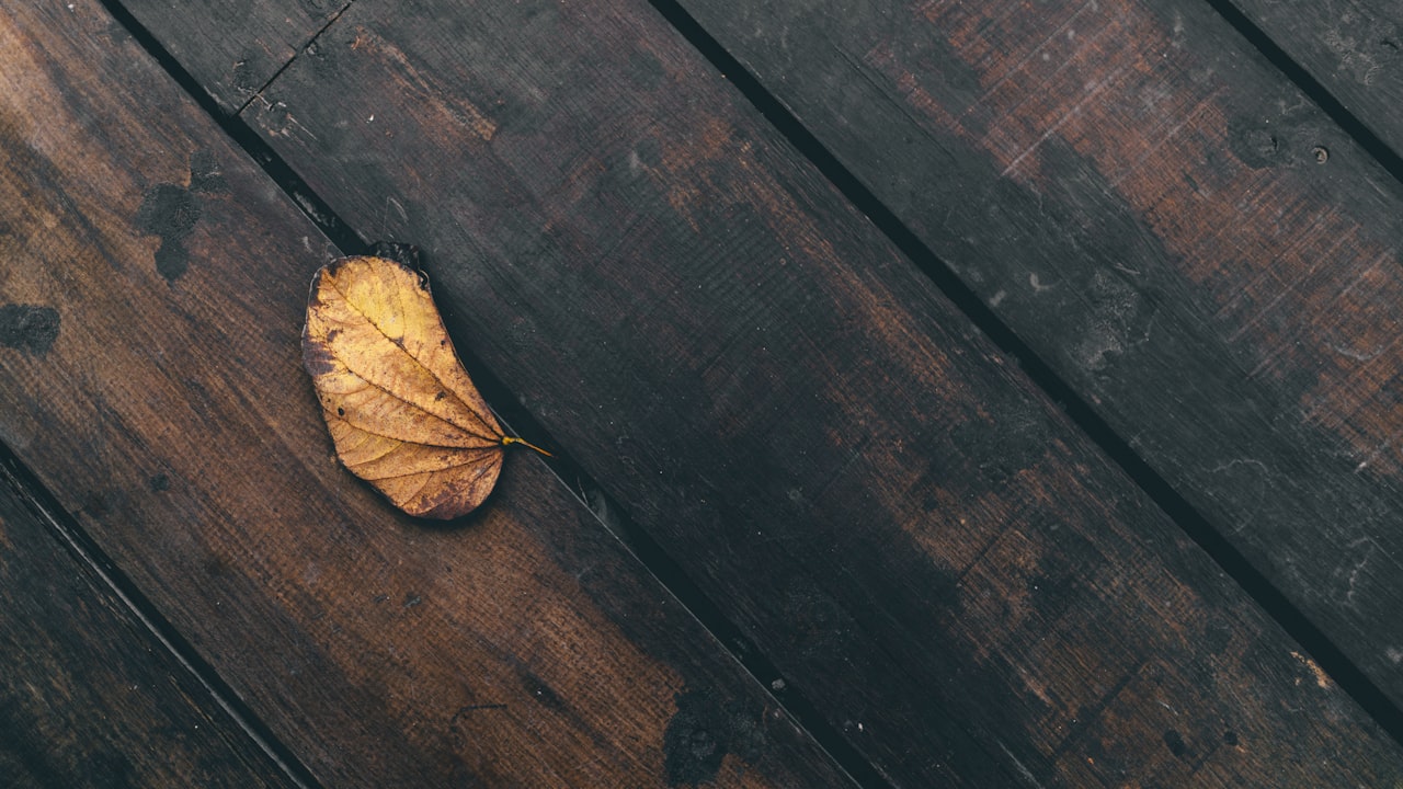 Wood Hammer Mill for Sawdust Making - Bio-pellet Plant